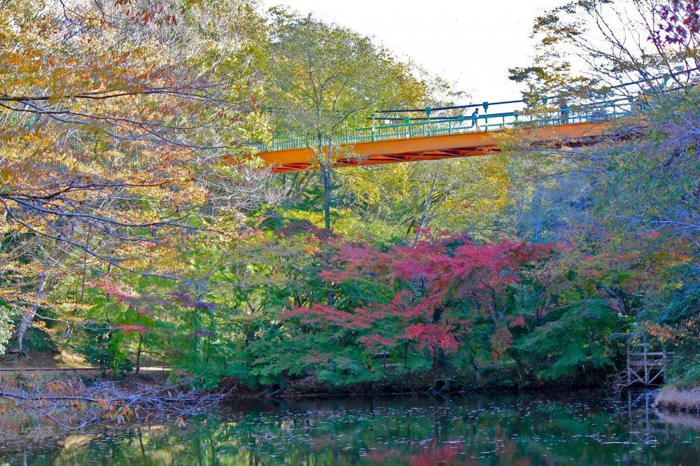 Izumi Izumi-JapanTravel